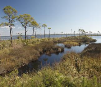 Fort Morgan Blueway