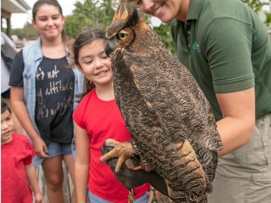 Naturalist holding an owl at the Gulf State Park Nature Center