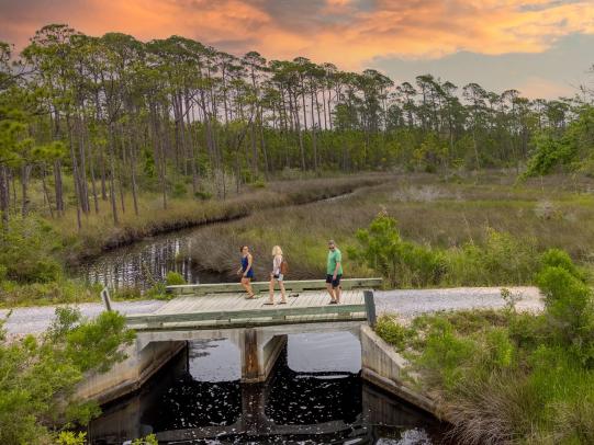 People crossing a bridge over the marsh on the Pine Beach Trail in Bon Secour