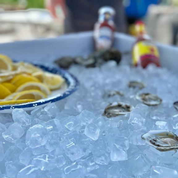 Admiral-oysters Fort Morgan