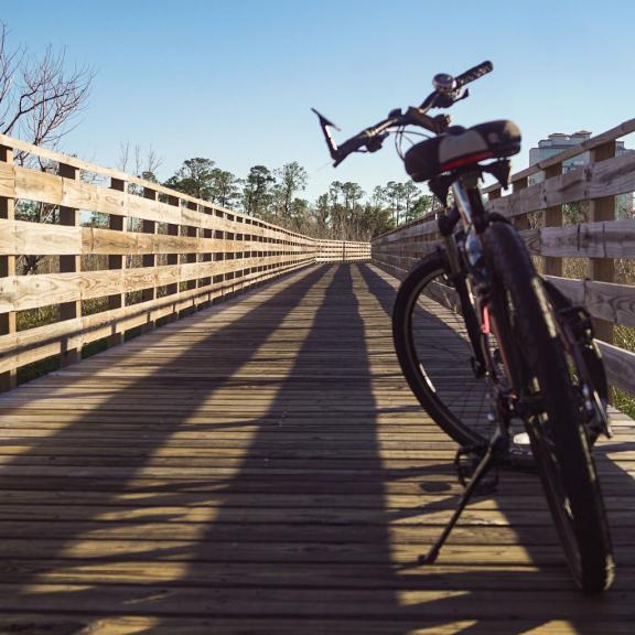 Biking in Gulf State Park