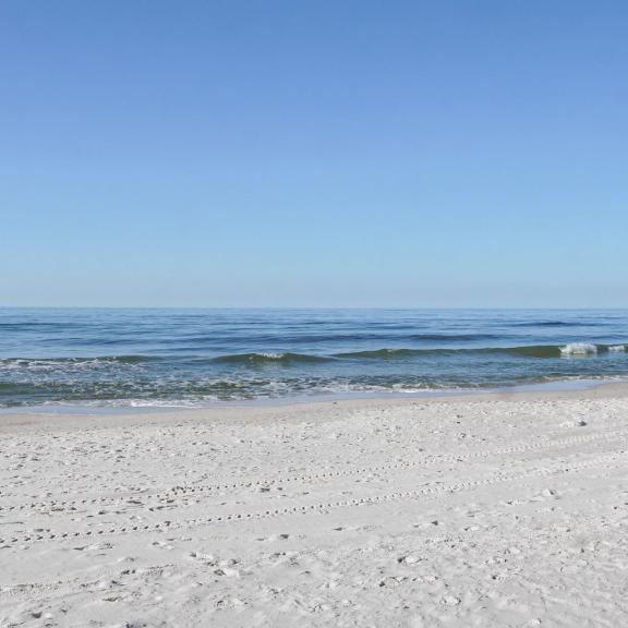 Gulf Shores Beach