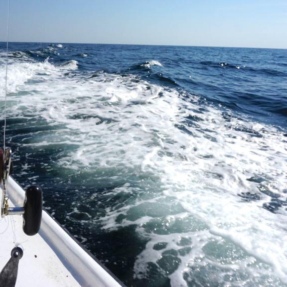 Orange Beach Fishing Charter