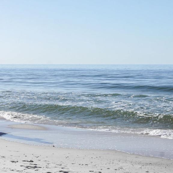 Surf Fishing Gulf Shores