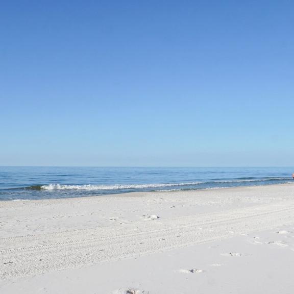 Gulf Shores Beach