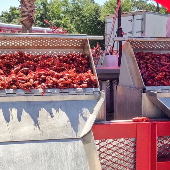 Crawfish festival on Alabama beaches, family-friendly event