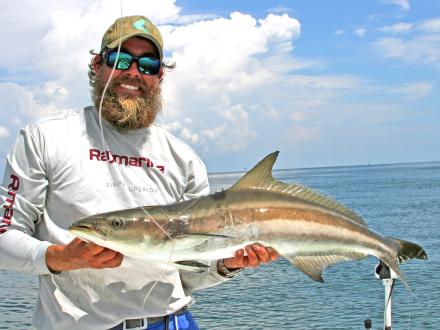 Cobia Fishing, Gulf of Mexico