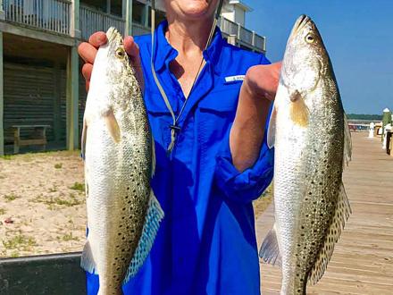 Speckled trout in Gulf Shores, AL