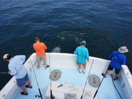 Charter fishing trip on Alabama's beaches