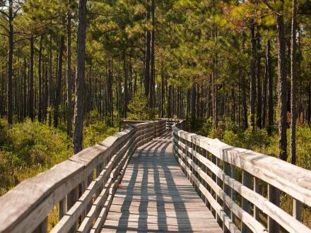 Gulf State Park