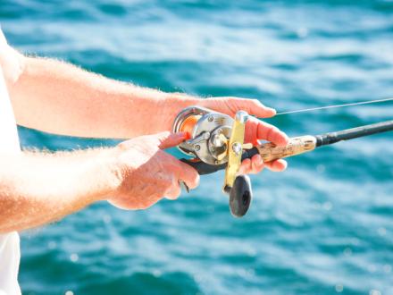 Fishing Gulf Shores