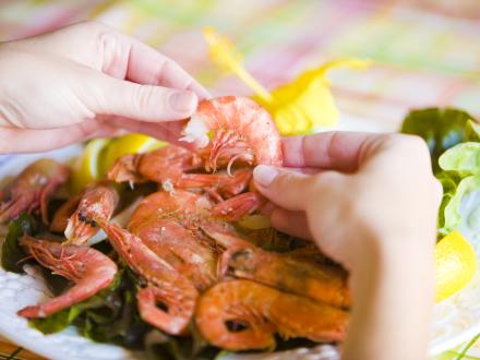 Fresh Shrimp