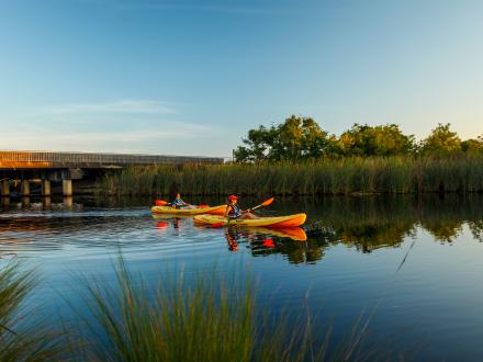 Kayaking Orange Beach
