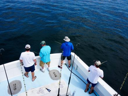 Charter Fishing Orange Beach