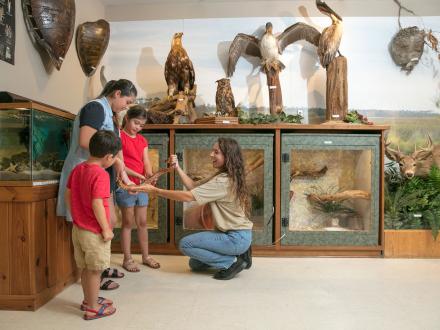 Gulf State Park Nature Center