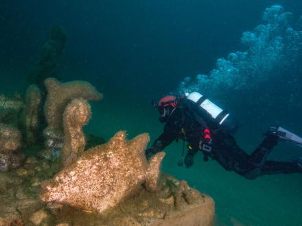 Poseidon's Playground Dive Spot