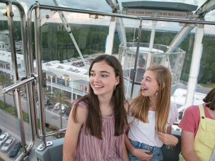 The Wharf Ferris Wheel
