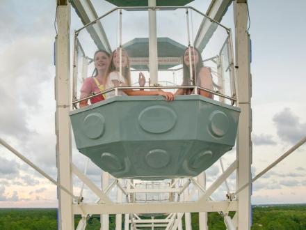 The Wharf Ferris Wheel