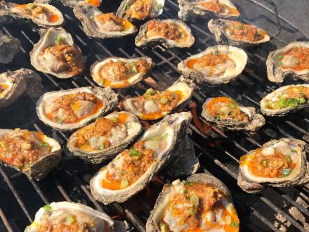 Oysters Gulf Shores