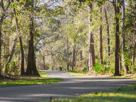 Hugh S. Branyon Backcountry Trail