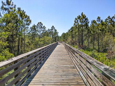 Gulf State Park Backcountry Trail