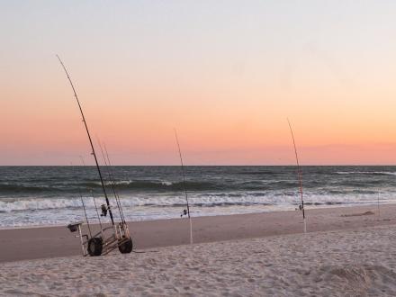 Surf Fishing Orange Beach