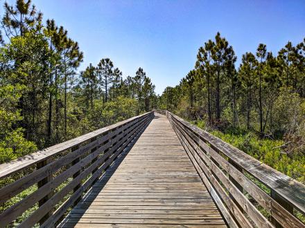 Hugh S. Branyon Backcountry Trail