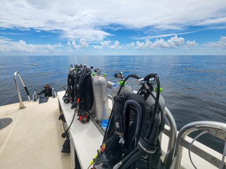 Diving Gulf Shores Orange Beach Alabama Down Under Dive Shop