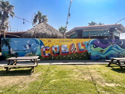 Cobalt Mural Orange Beach