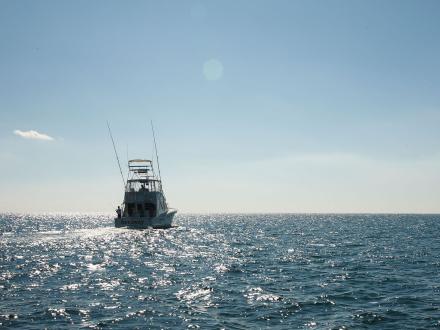 Orange Beach Fishing Charter