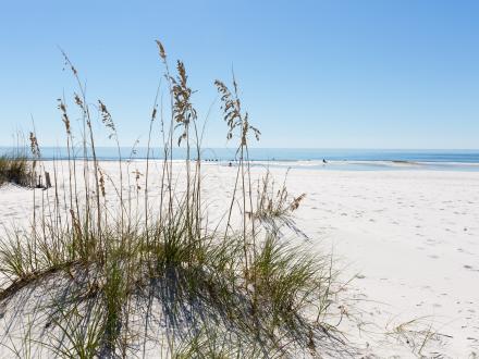 sand dune