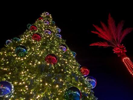 The Wharf Orange Beach Christmas Tree