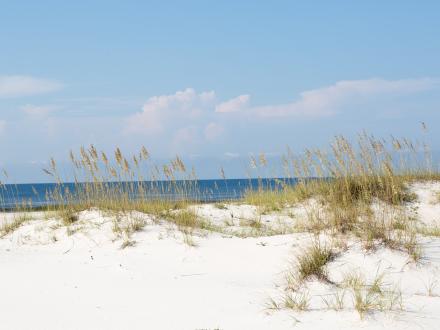 Sand Dunes