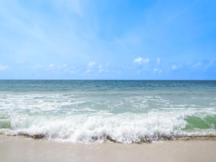 Beach in Gulf Shores