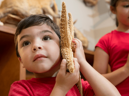 Child at Nature Center