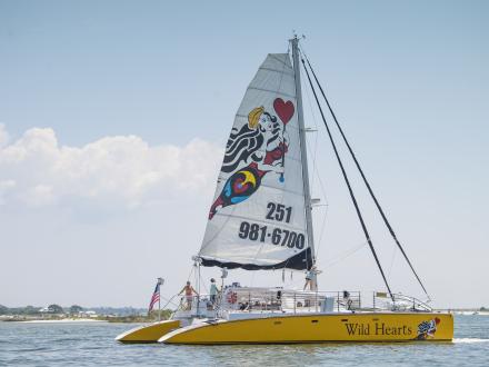 Sail Wild Hearts