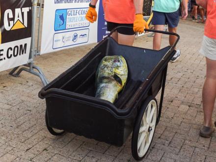 Mahi Billfish Classic
