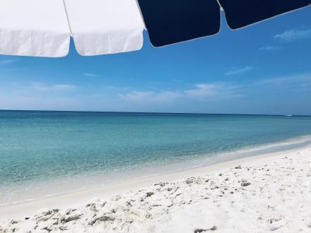 Beach View