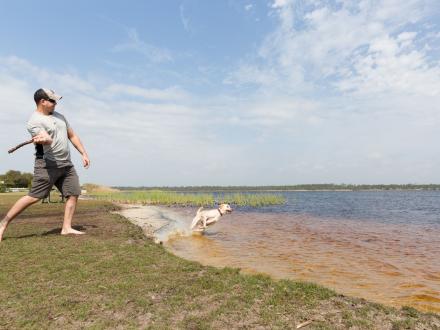 Dog fetching a stick at The Dog Pond at Lake Shelby
