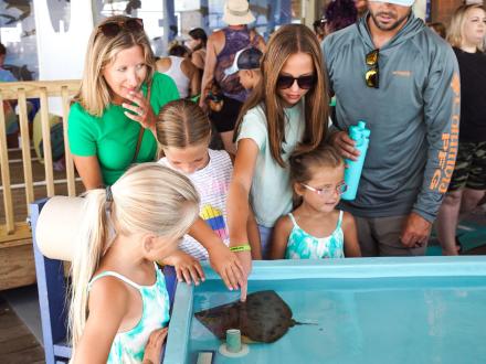 Manta ray touch tank at Gulf State Park Pier during Shark Week