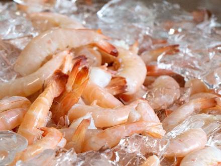 fresh Gulf shrimp at Gulf Shores seafood market