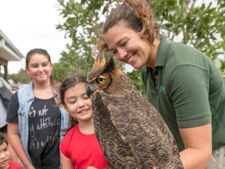 Owl at the Nature Center in Gulf State Park