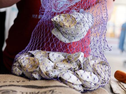 a bag of Murder Point Oysters in Orange Beach