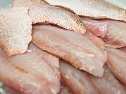 fresh gulf shrimp at gulf shores seafood market
