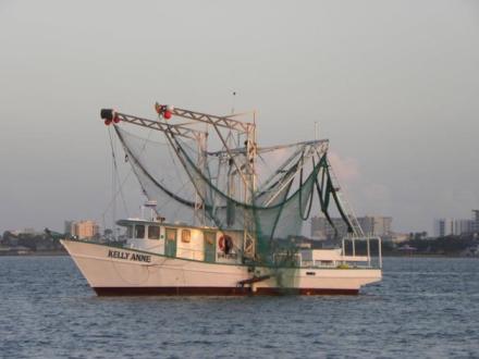 Kelly Anne Shrimp Boat in Orange Beach