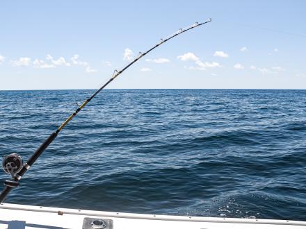 Trolling for fish on a charter boat in the Gulf