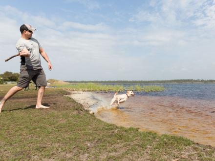 Dog playing fetch in the water at The Dog Pond, dog-friendly activity in Gulf Shores