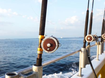 Fishing rods on a charter boat in the Gulf of Mexico