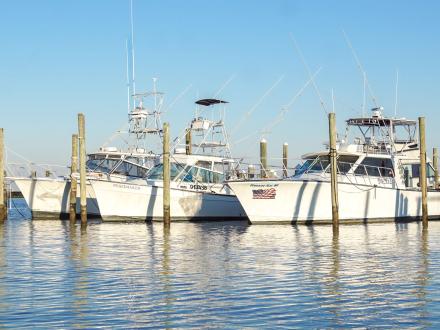 Docked boats at the Fort Morgan Marina in Fort Morgan, Alabama