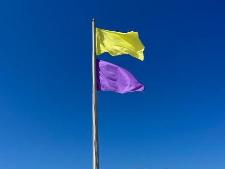 Yellow and purple beach flag, Alabama's Beaches beach flag warning
